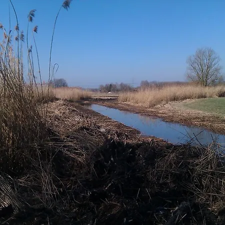 Pure Nature Munich - Amper Meadows/freising Haag an der Amper