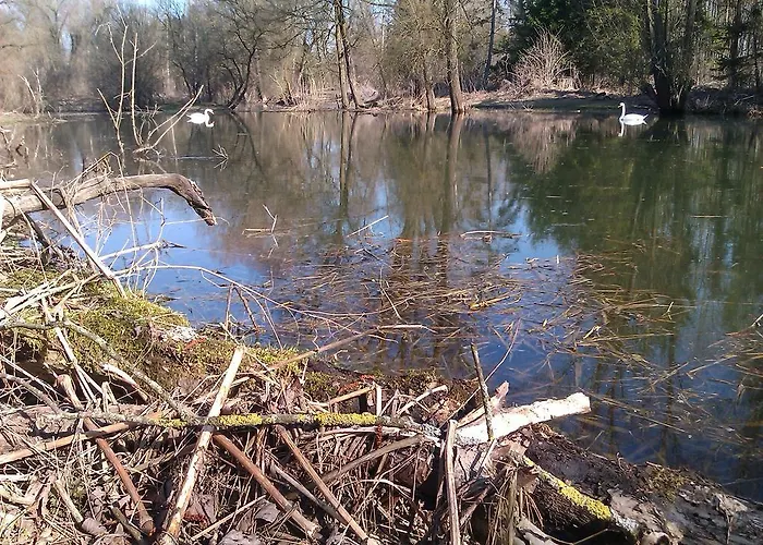度假居 Pure Nature Munich - Amper Meadows/freising Haag an der Amper