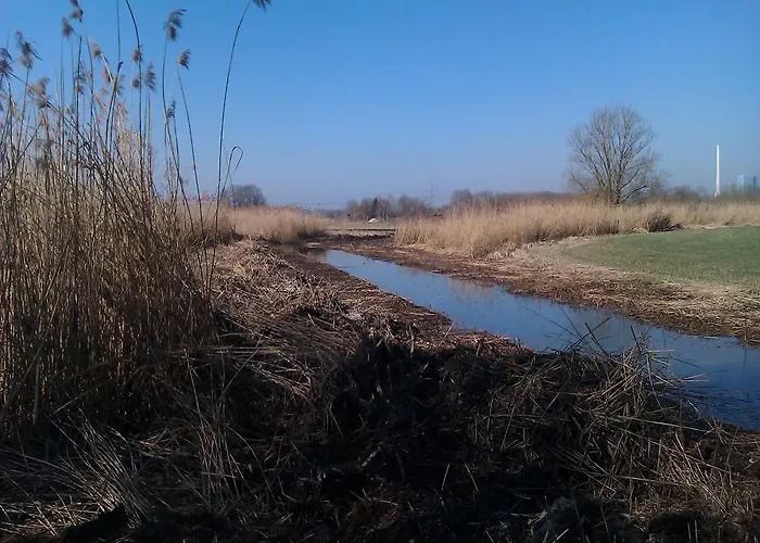Pure Nature Munich - Amper Meadows/freising Haag an der Amper